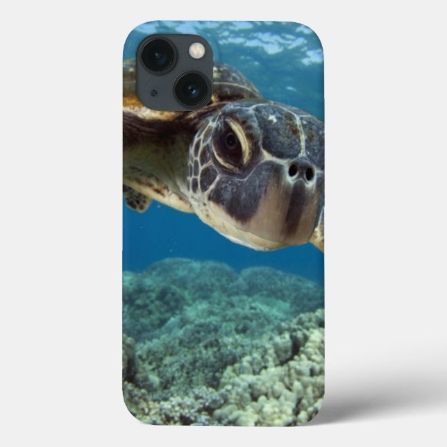 Hawaiian Green Sea Turtle Case-Mate iPhone Case (Back)