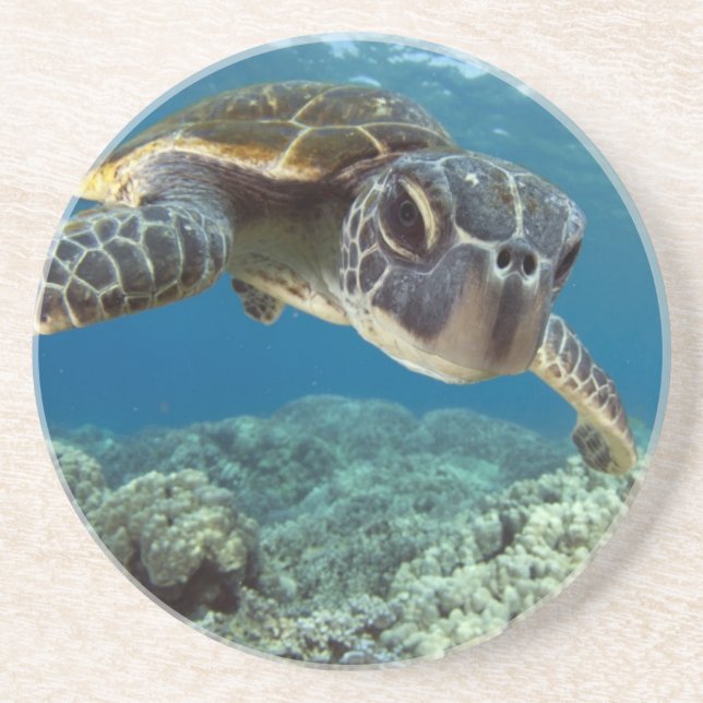 Hawaiian Green Sea Turtle Coaster (Front)