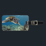 Hawaiian Green Sea Turtle Luggage Tag<br><div class="desc">A Hawaiian gree sea turtle investigates his reflection in my dome port. © and ® Bigstock® - All Rights Reserved.</div>