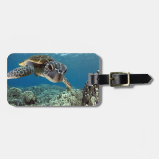 Hawaiian Green Sea Turtle Luggage Tag