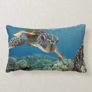 Hawaiian Green Sea Turtle Lumbar Cushion