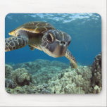Hawaiian Green Sea Turtle Mouse Pad<br><div class="desc">A Hawaiian gree sea turtle investigates his reflection in my dome port. © and ® Bigstock® - All Rights Reserved.</div>