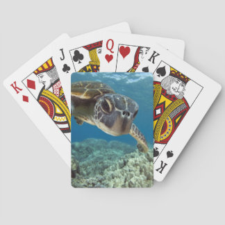 Hawaiian Green Sea Turtle Playing Cards
