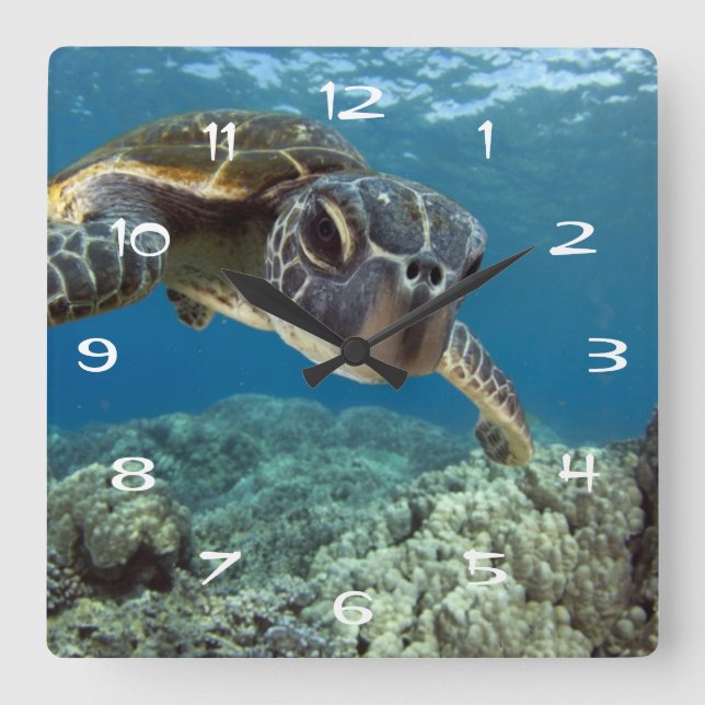 Hawaiian Green Sea Turtle Square Wall Clock (Front)