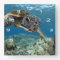 Hawaiian Green Sea Turtle