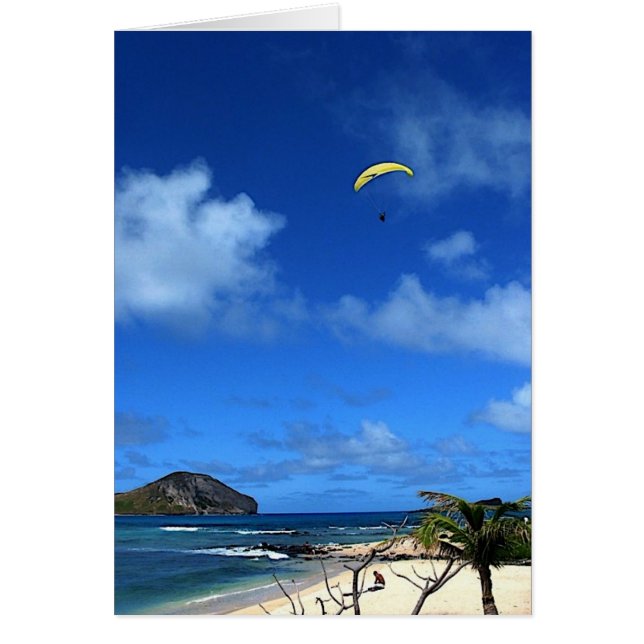 Hawaiian Hang glider (Front)