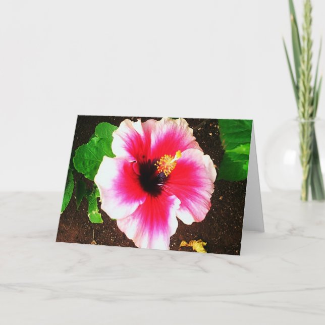 Hawaiian Hibiscus Flower Card (Front)