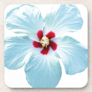 Hawaiian Hibiscus Flower Coaster
