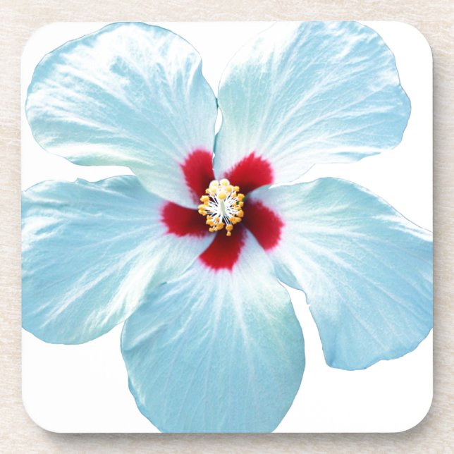 Hawaiian Hibiscus Flower Coaster (Front)