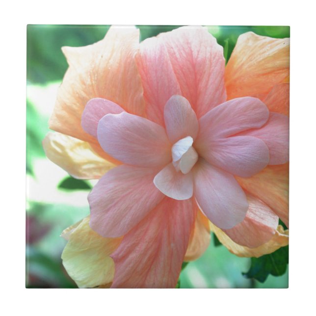 Hawaiian Hibiscus Flower Photo Tile (Front)