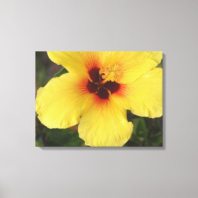 Hawaiian Hibiscus Flower Wrapped Canvas Print (Front)