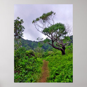 Hawaiian Hiking Trail Poster