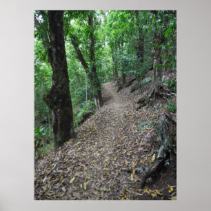 Hawaiian Hiking Trail Poster