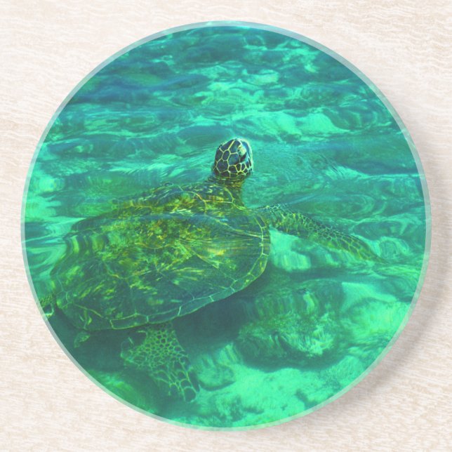 Hawaiian Honu Sea Turtle Coaster (Front)