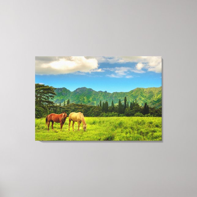 Hawaiian Horses, Hokulei Peak, Kauai, Hawaii Canvas Print (Front)