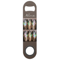 Hawaiian Hula Dancers Thunder_Cove