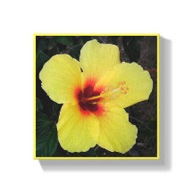 Hawaiian Hula Girl Hibiscus Stretched Canvas Print