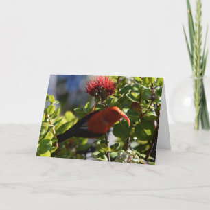 Hawaiian 'I'iwi Card