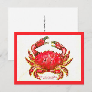 Hawaiian Island Crab Postcard