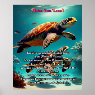 Hawaiian islands Lanai Aloha  Poster