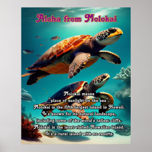 Hawaiian islands Molokai Aloha  Poster