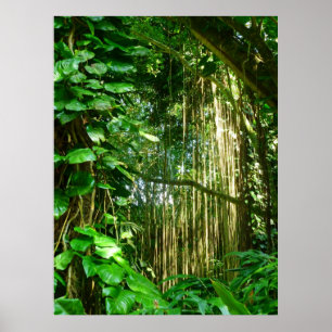 Hawaiian Jungle Vines Poster
