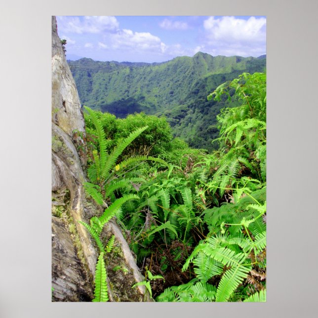 Hawaiian Koolau Mountains Poster (Front)
