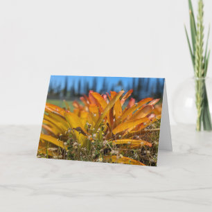 Hawaiian love card