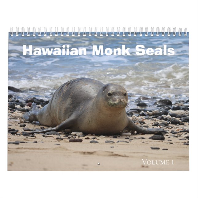 Hawaiian Monk Seals  Calendar (Cover)