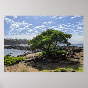 Hawaiian Natural Landscape Photography Poster