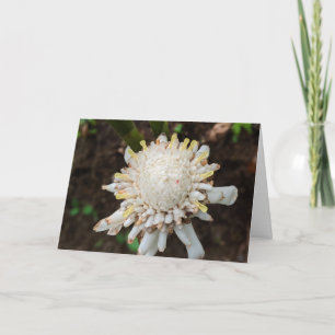 Hawaiian Natural Landscape Photography Thank You Card