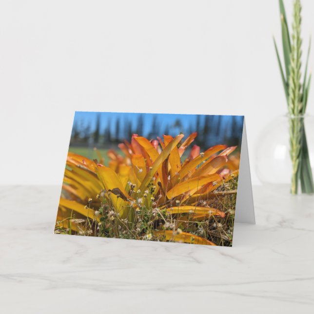 Hawaiian Natural Landscape Photography Thank You Card (Front)
