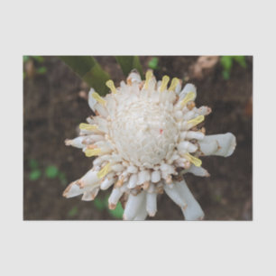 Hawaiian Natural Landscape Tissue Paper