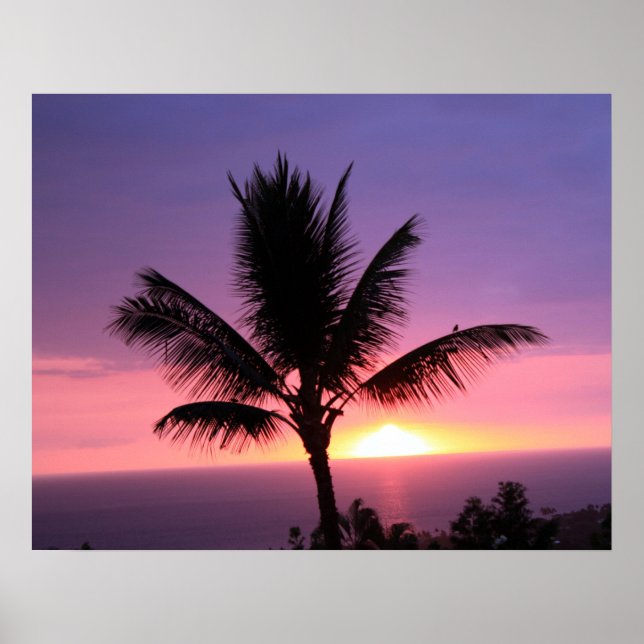 Hawaiian Palm Tree & Colourful Sunset Poster (Front)