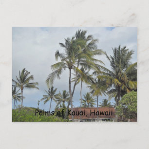 Hawaiian Palm Trees Postcard