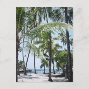 Hawaiian Paradise Postcard