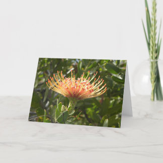 Hawaiian Pincushion Orange Flower Greeting Card