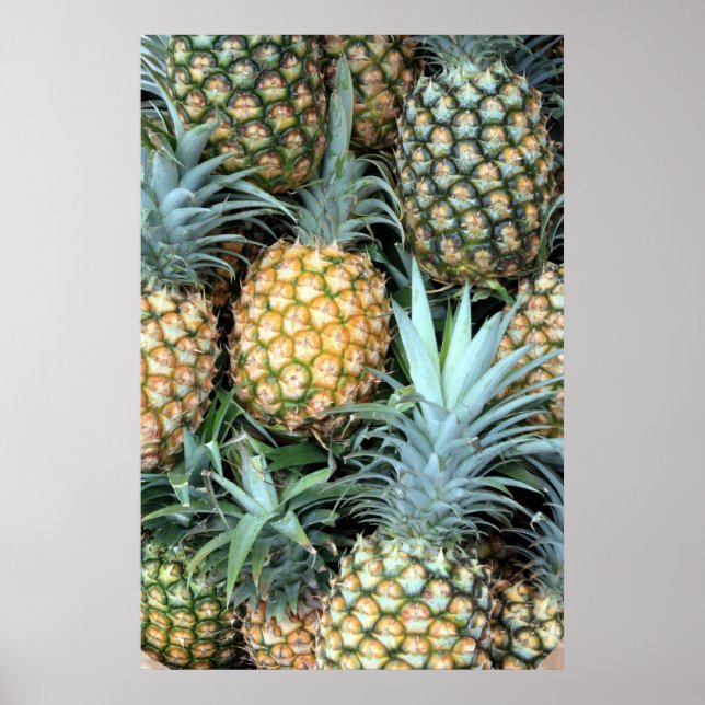 Hawaiian Pineapples Poster (Front)