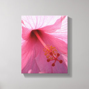 Hawaiian Pink Hibiscus Fine Art Photo Canvas Print