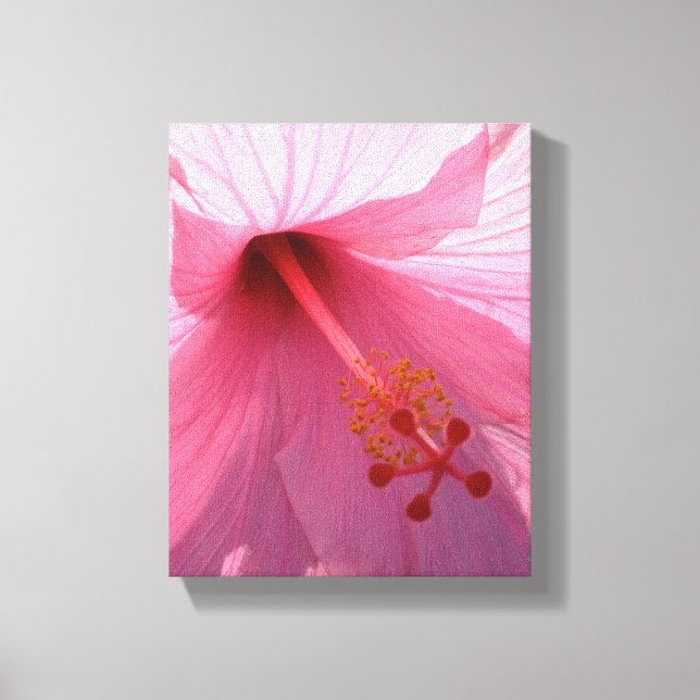 Hawaiian Pink Hibiscus Fine Art Photo Canvas Print (Front)