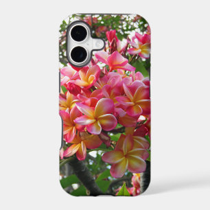 Hawaiian Plumeria