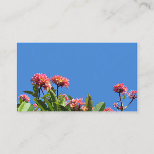 Hawaiian Plumeria Business Card