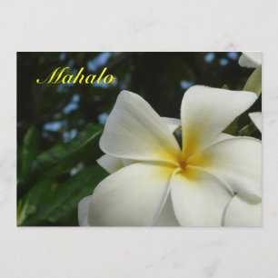 Hawaiian Plumeria Flower Sympathy Thank You Card