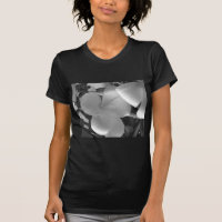 Hawaiian Plumeria Flowers in Black and White
