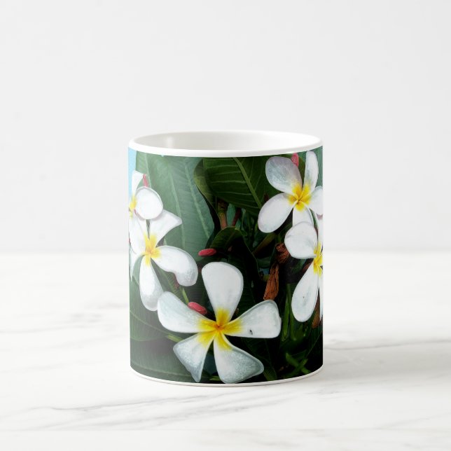 Hawaiian Plumeria Flowers Mug (Center)