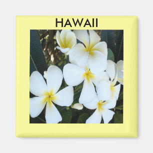 Hawaiian Plumeria Magnet