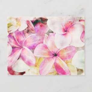 Hawaiian Plumeria Tropical Floral Watercolor Postcard