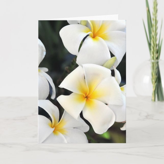 Hawaiian Plumeria Tropical Greeting Card (Front)