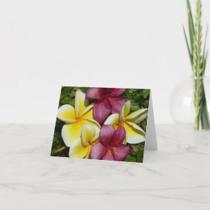 Hawaiian Plumerias Small Folded Greeting Card