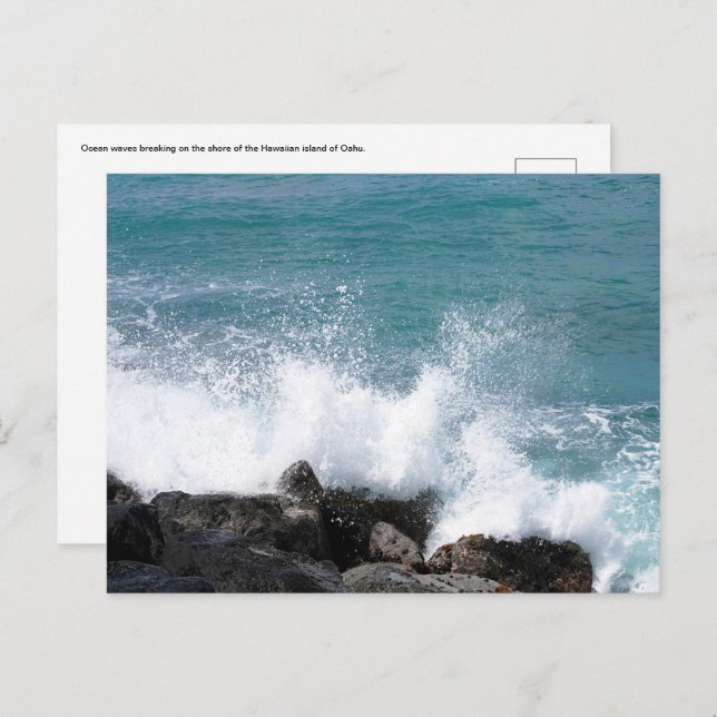 Hawaiian Postcard (Front/Back)